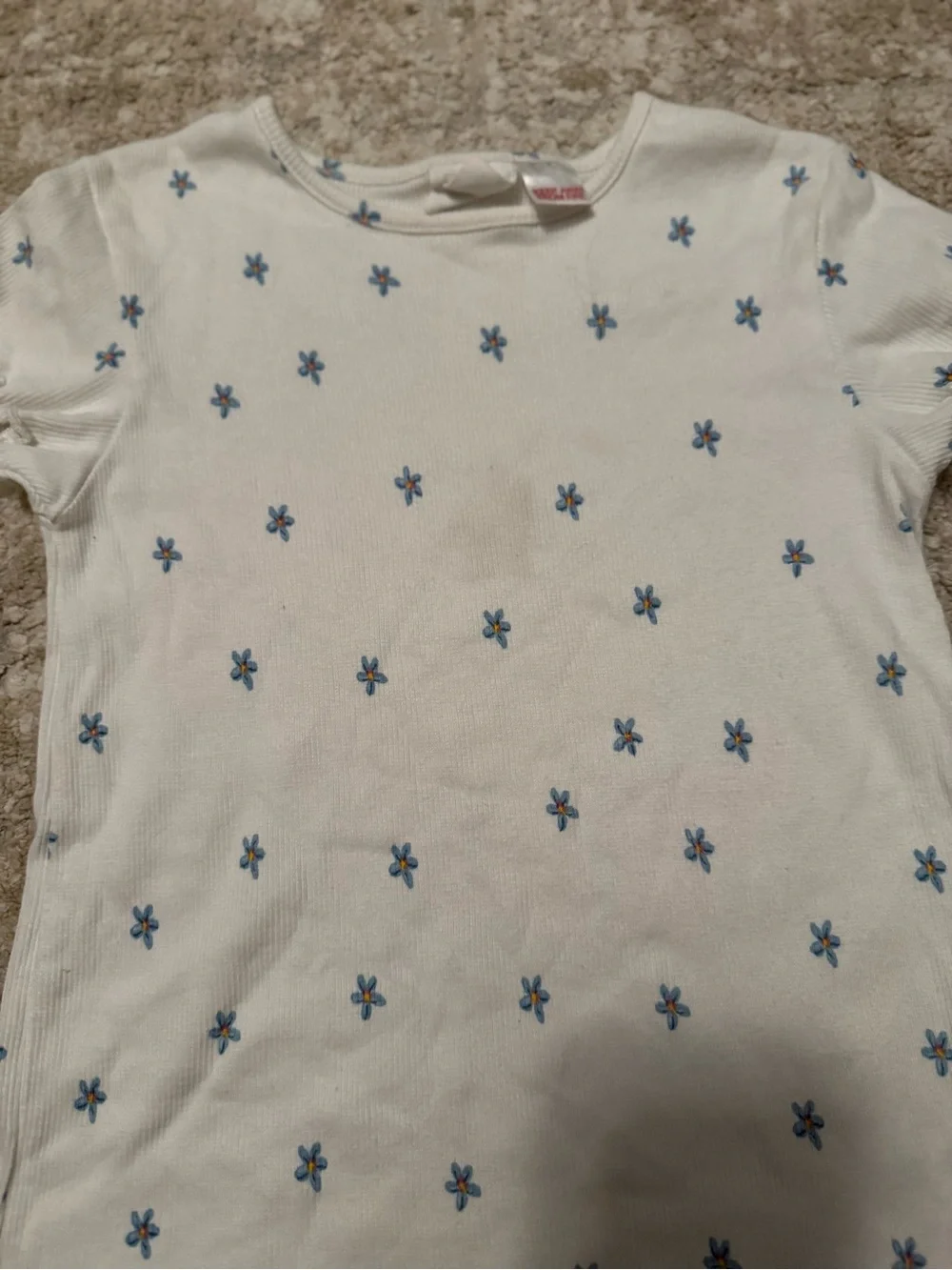 Zara Cream Short Sleeve Tee with Small Blue Flower Embroidery size 3/4